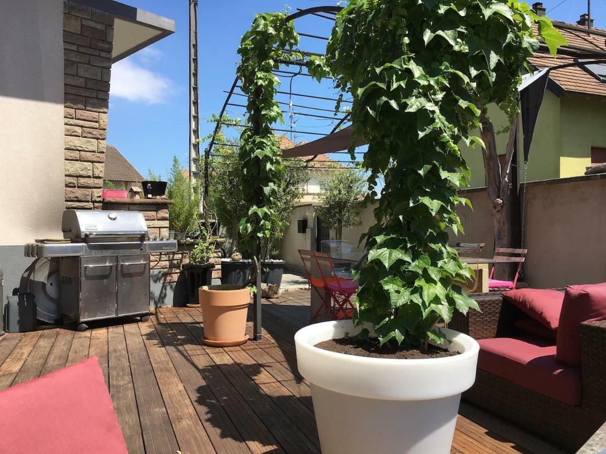 זלסטאט La Terrasse Selestadienne מראה חיצוני תמונה