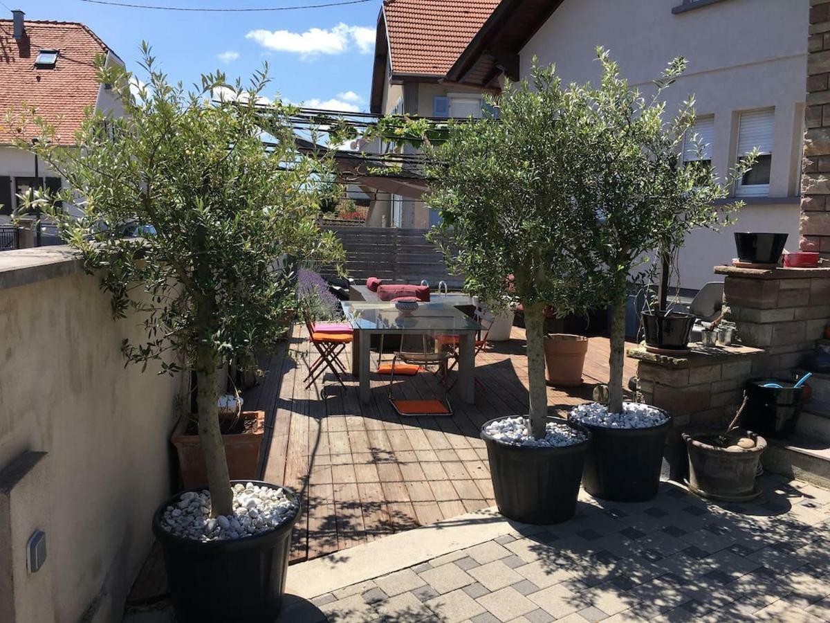 זלסטאט La Terrasse Selestadienne מראה חיצוני תמונה