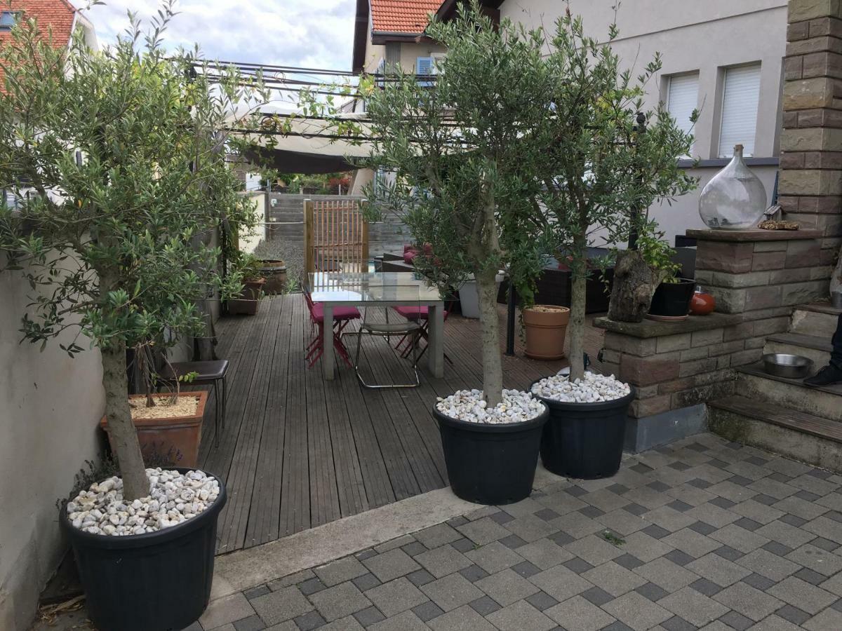 זלסטאט La Terrasse Selestadienne מראה חיצוני תמונה